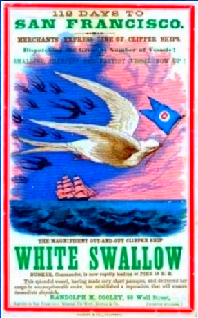 White Swallow Clipper Line Poster.